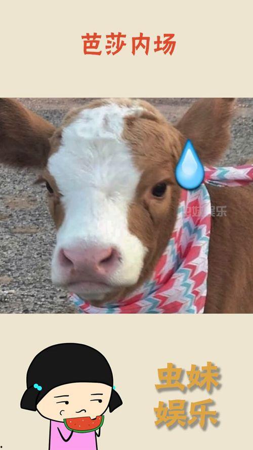 娱乐吃瓜酱抖音拍照